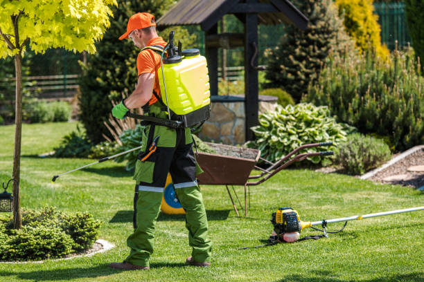 Best Fumigation Services  in Su Oswego, NY